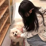 天天打灭霸满v变态版下载